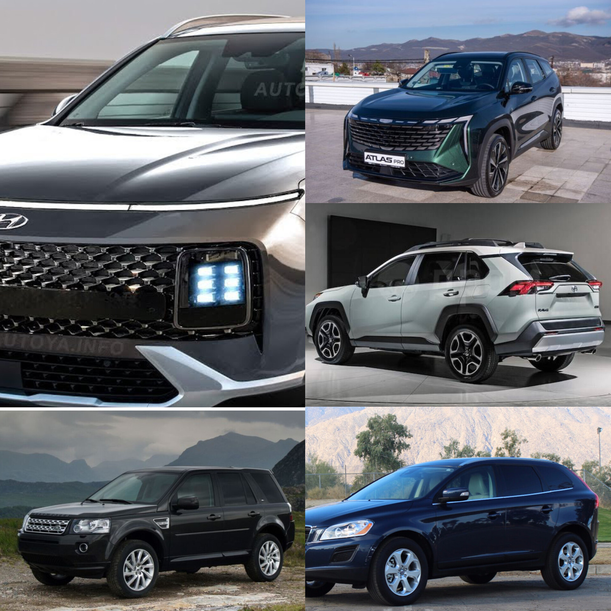 Все фото с Яндекс. Картинки. 