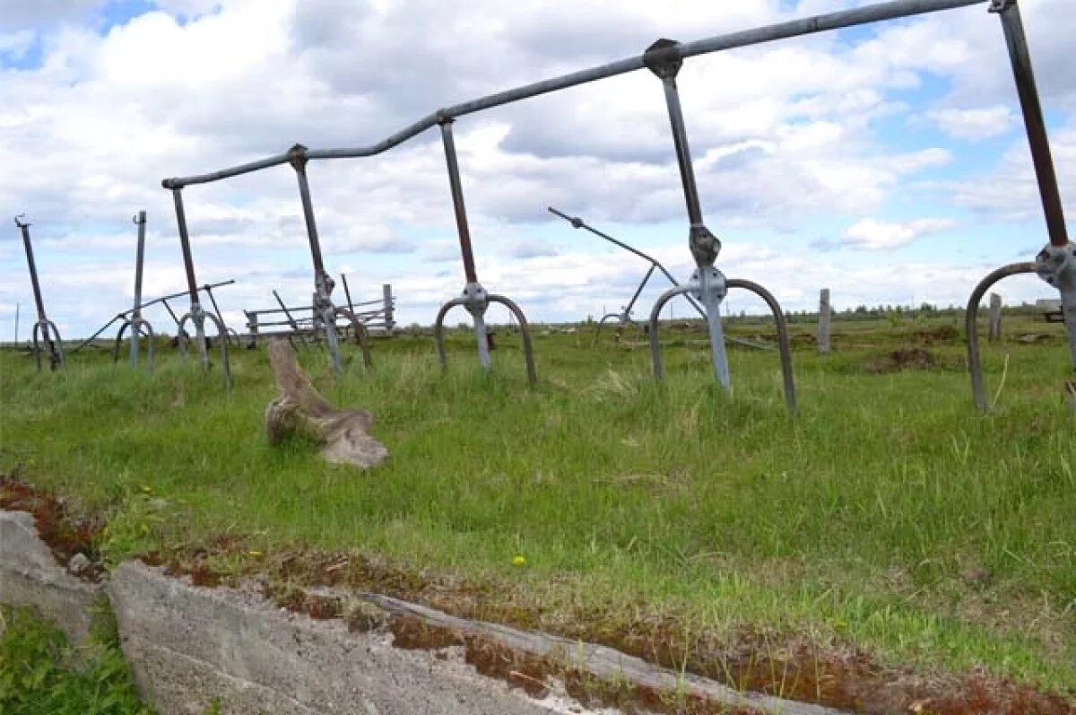    В Рязанской области неиспользуемые земли вовлекут в экономический оборот