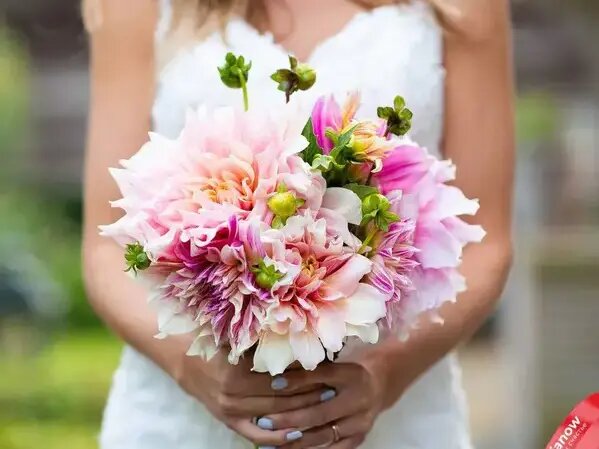   Что с чем нельзя сажать рядом в один цветник Вера Курилыч