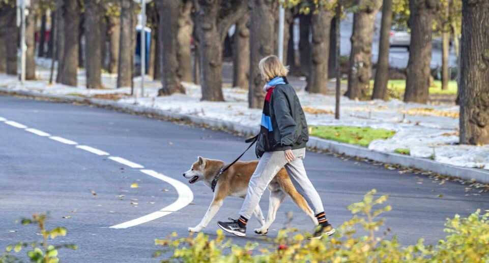    Konstantin Kokoshkin/Global Look Press / www.globallookpress.com