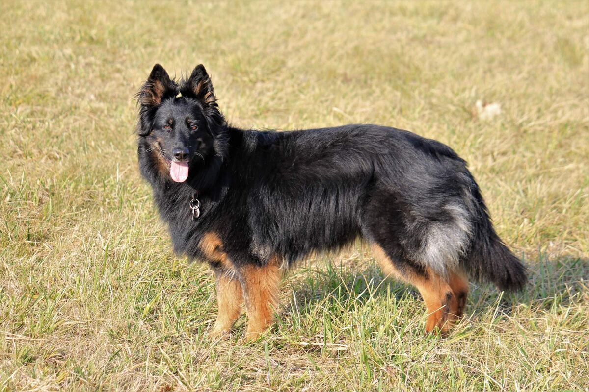 Маленькая, но растёт!