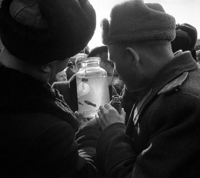 Птичий рынок, 1958 г. Фото Эриха Лессинга.