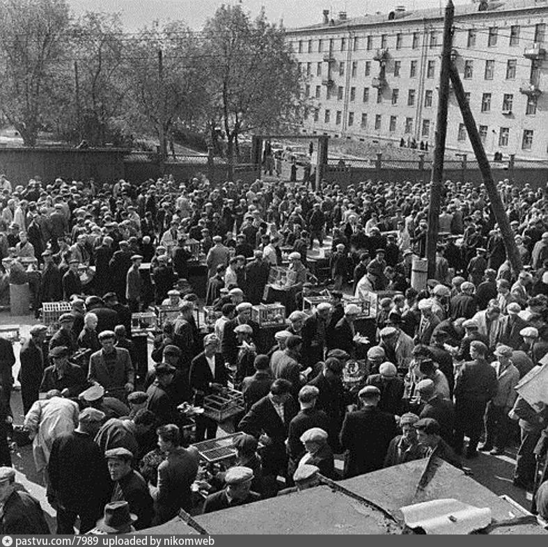 Птичий рынок, 1965 год. Источник https://pastvu.com/p/7989.