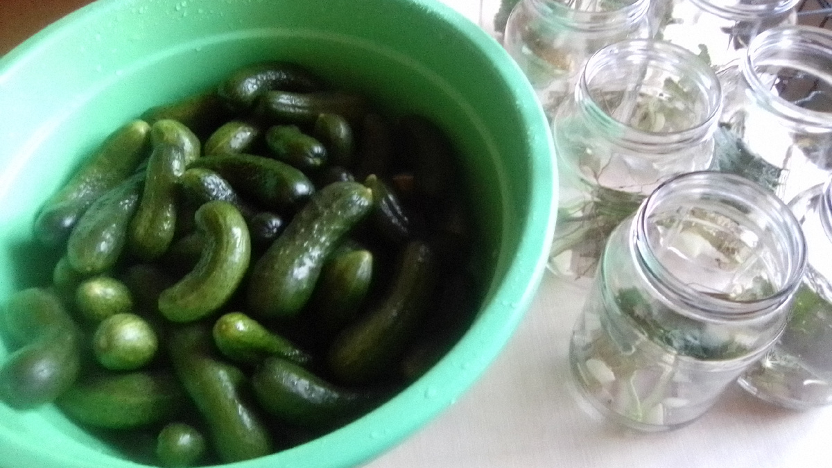 Зелёненький он был...)))