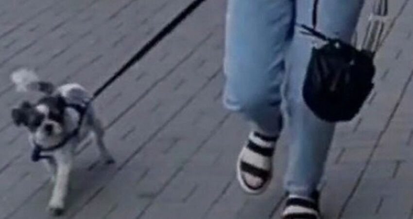    Соцсети: очевидцы — читатели и писатели.