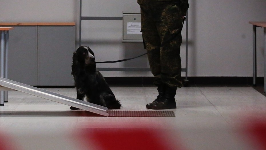    Таможня, кинолог. Автор фото: Антон Ваганов/ДП
