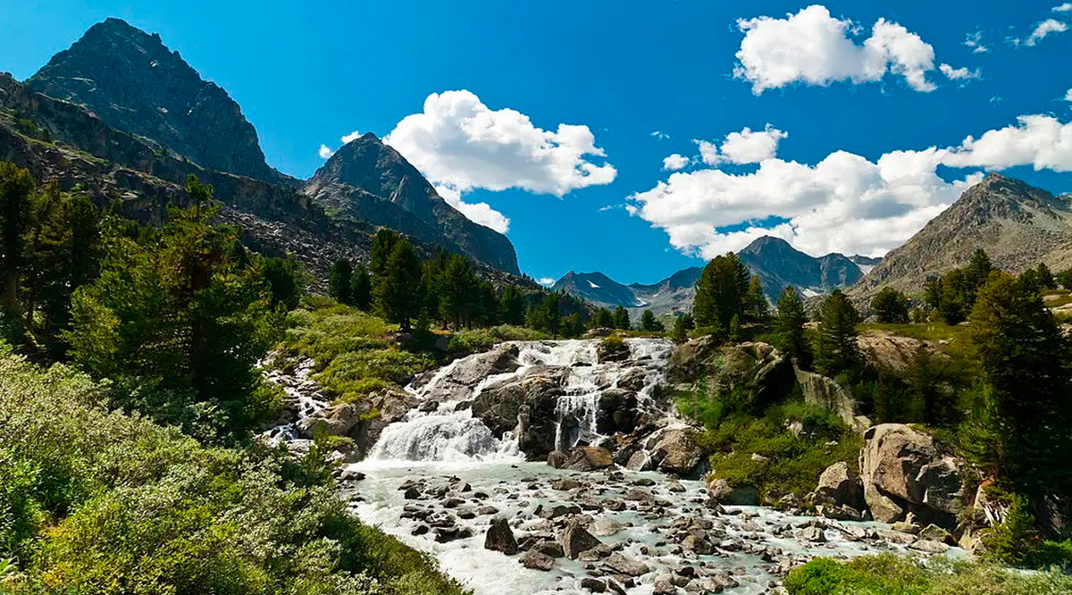 Природные бустеры силы