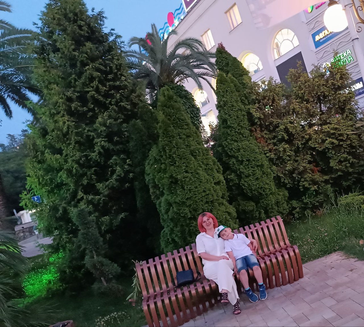 Вечнозеленые ели - почему они такие выносливые?