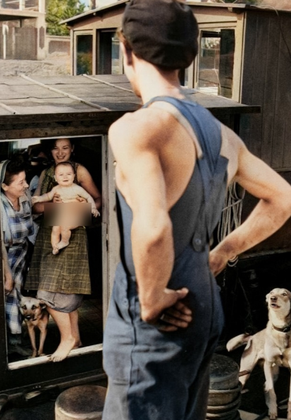 Песель тоже радуется )