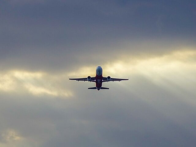    Фото: 123RF/langdu8x