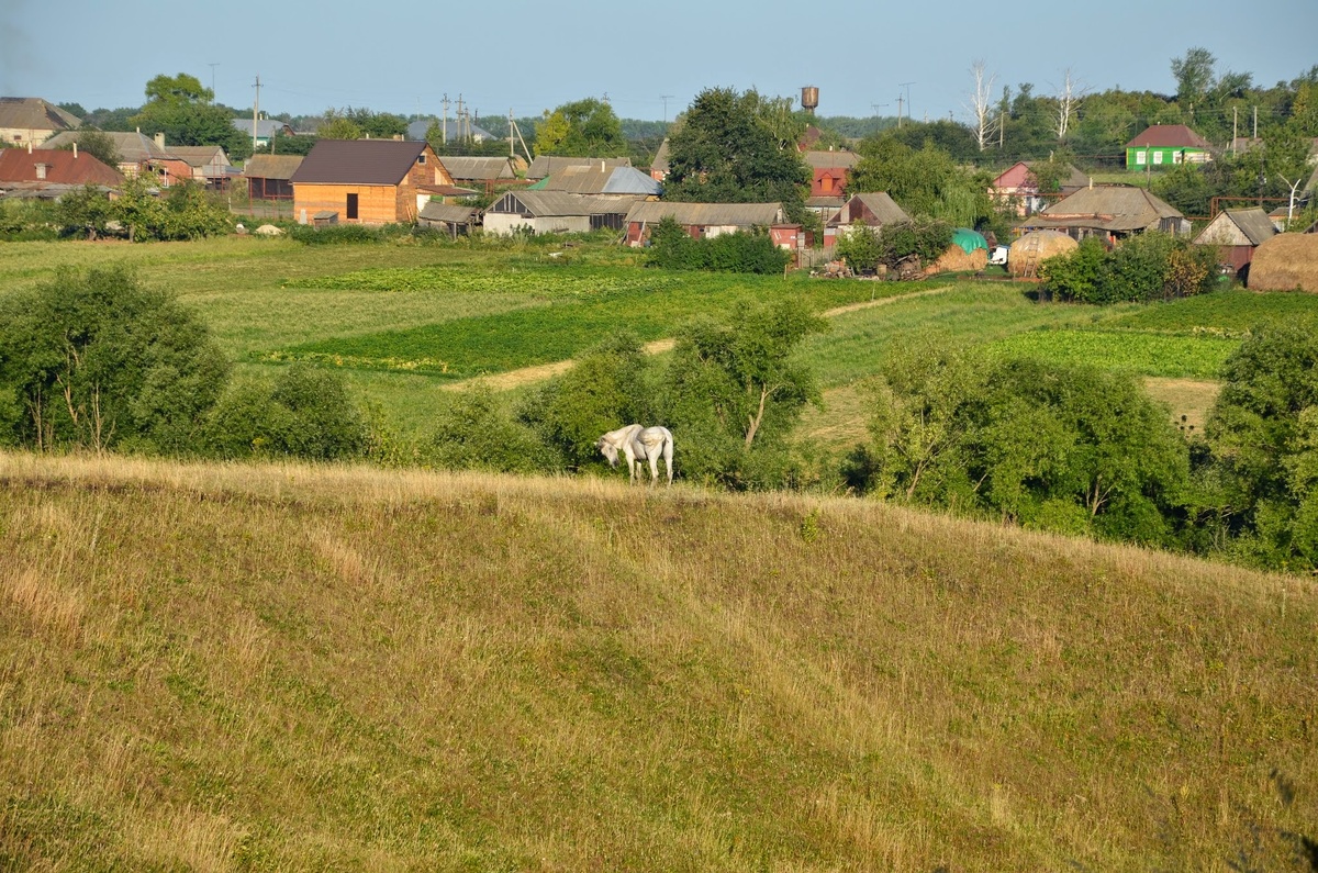 Серебряное, Тамбовская область