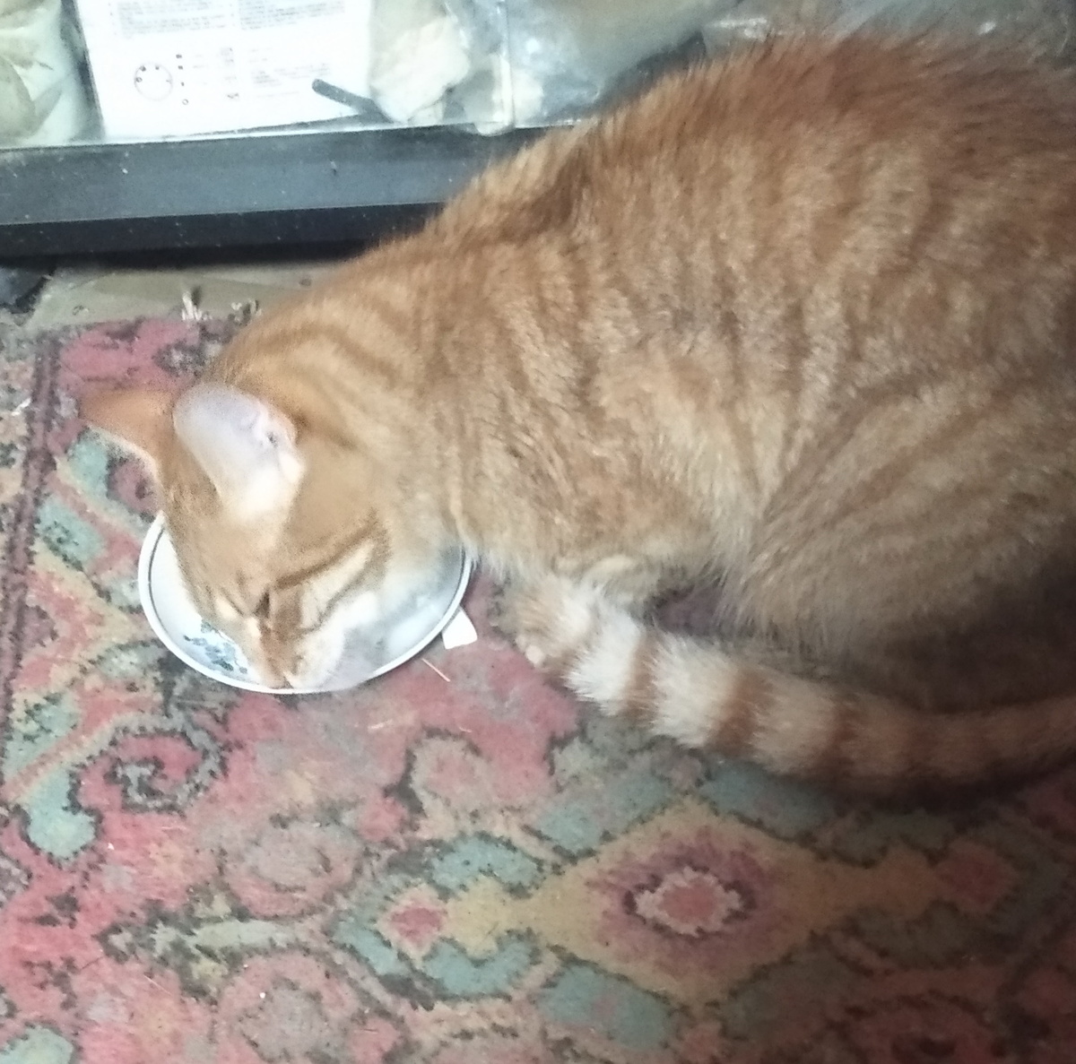 Личное   фото