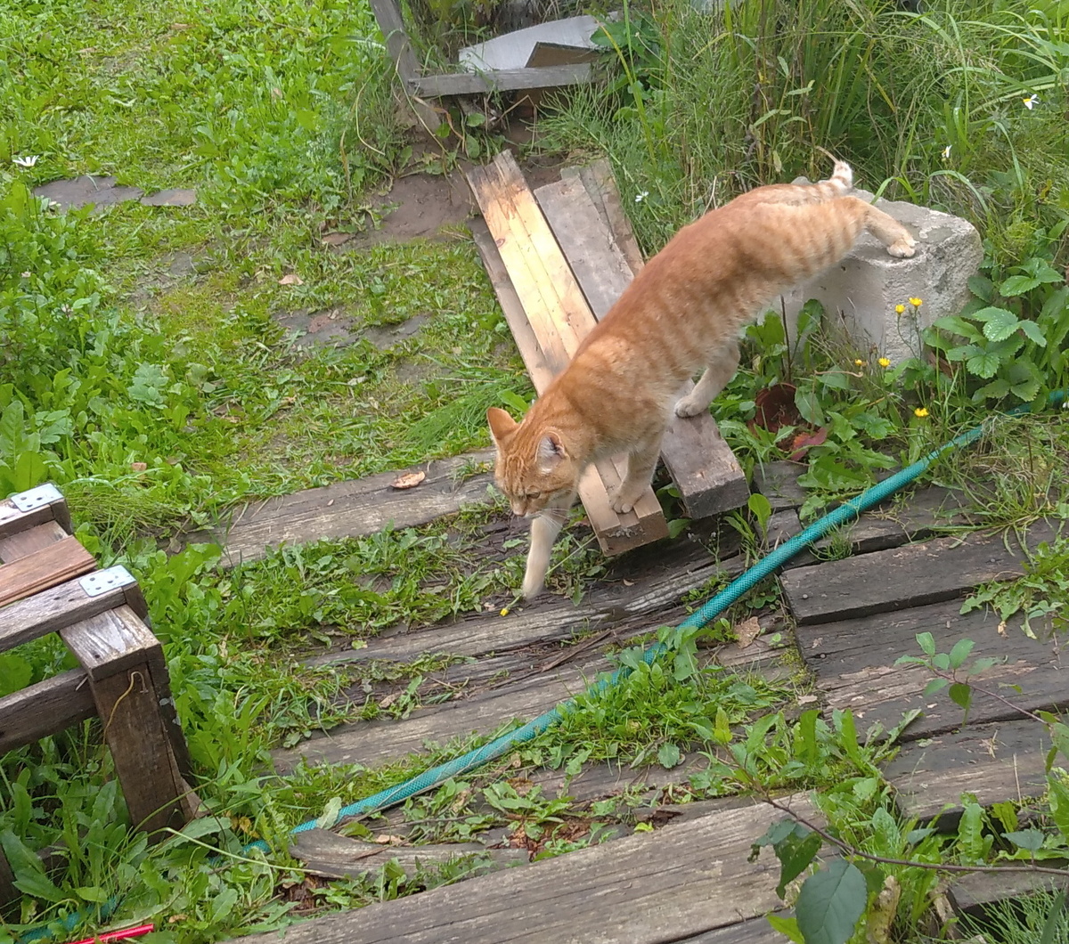 Личное   фото