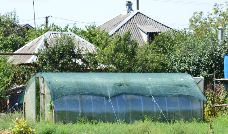 Фото автора. Лето 2025. Станица. Так укрывают теплицы от сурового южного солнца.