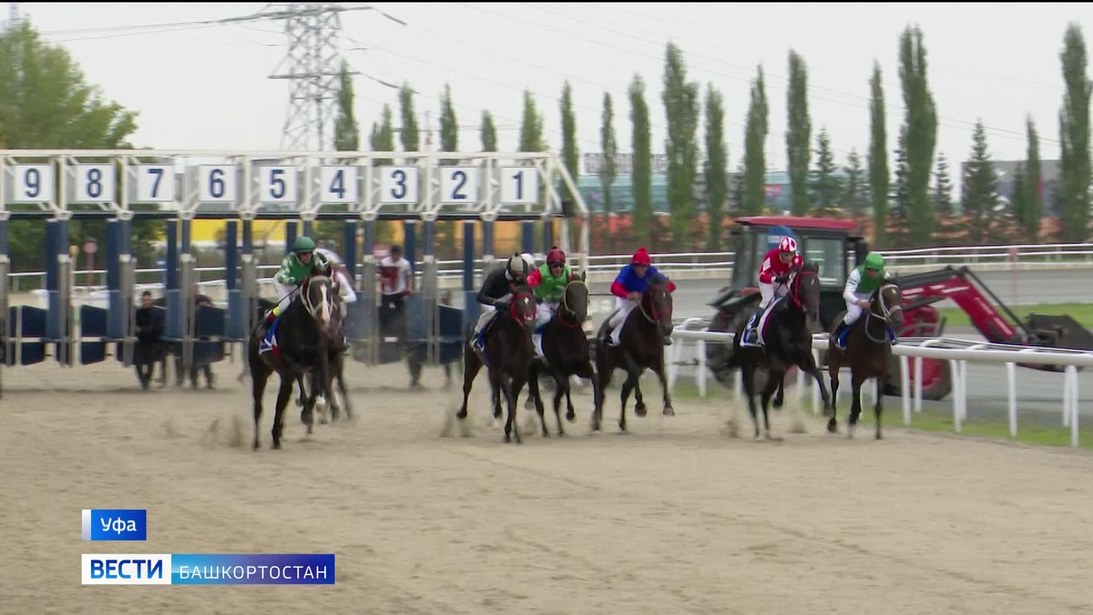    На ипподроме «Акбузат» прошел розыгрыш «Уфимского дерби» - репортаж «Вестей»
