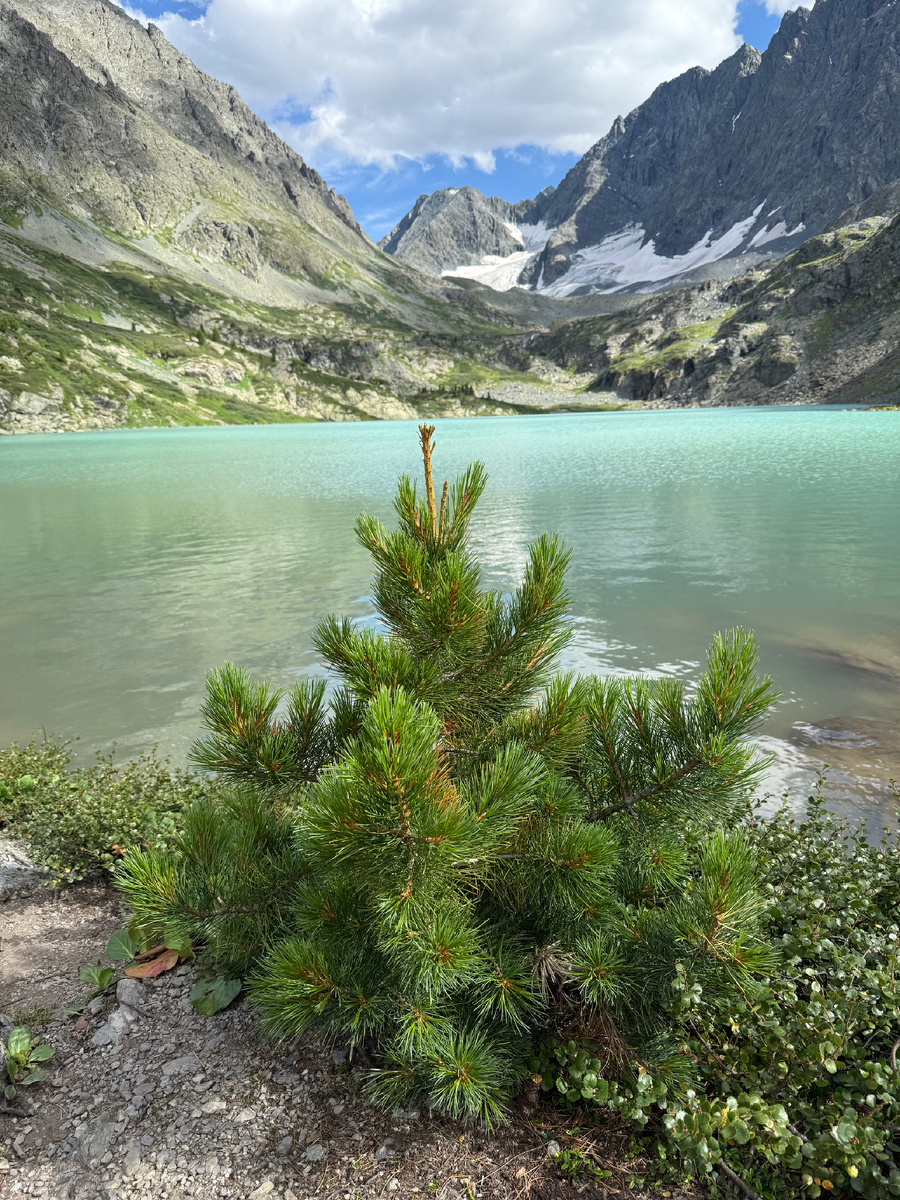 Алтай. Озеро Куйгук. Ходим-едем
