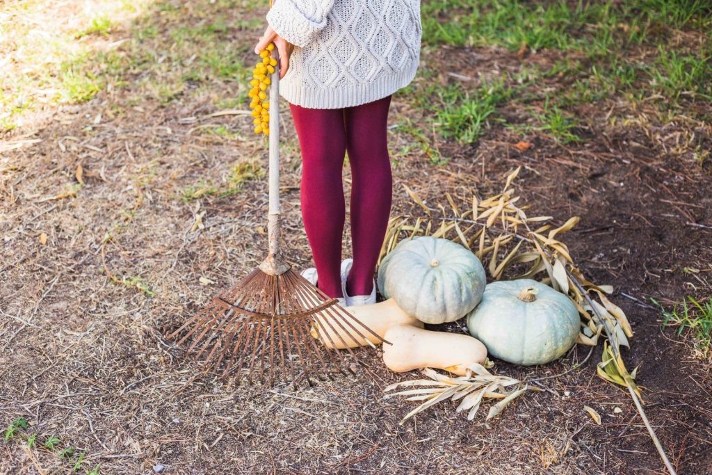    Фото: freepik.com Редактор