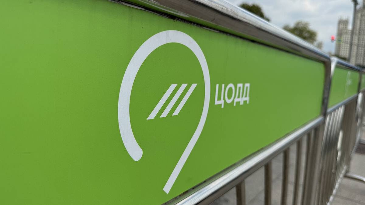    Фото: Андрей Прошин / Вечерняя Москва