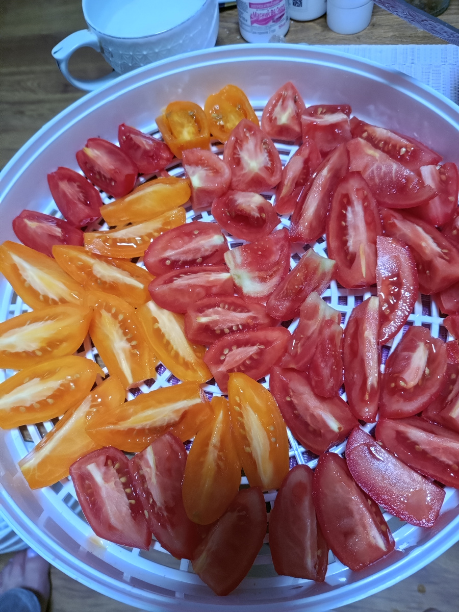 Помидорки для вяленья