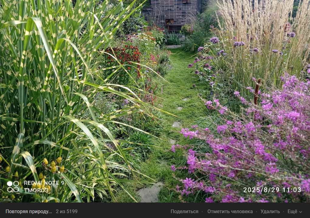 фото для тех, кто не знаком с садом