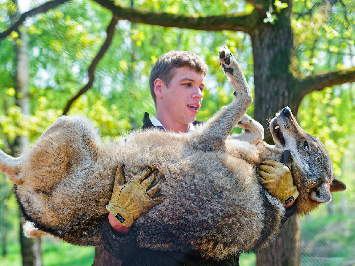 tambako, CC BY-ND 2.0