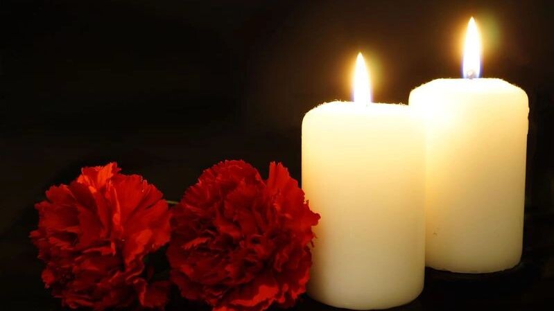    Фото: R.Danyliuk/Shutterstock/Fotodom