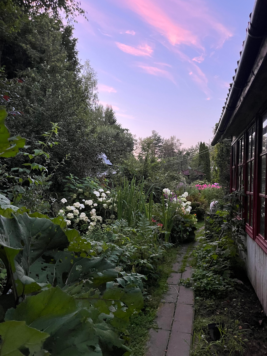 Большинство которых давно спилила соседка