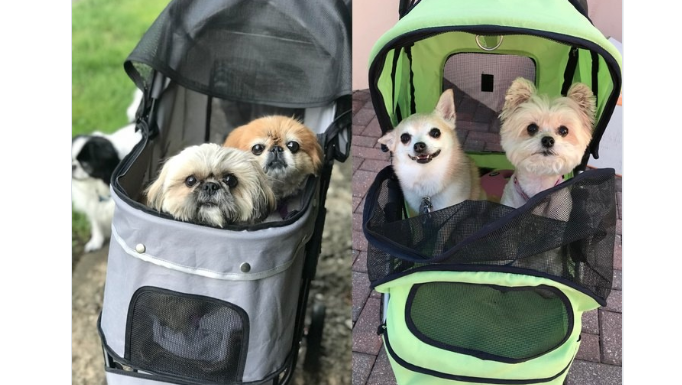 источник ВК