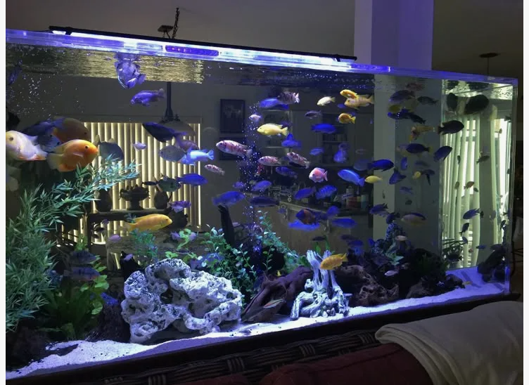 источник ru.pinterest.com