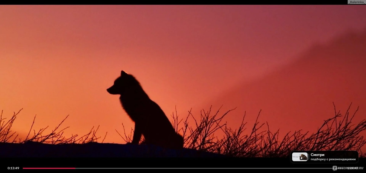 Кадры из фильма