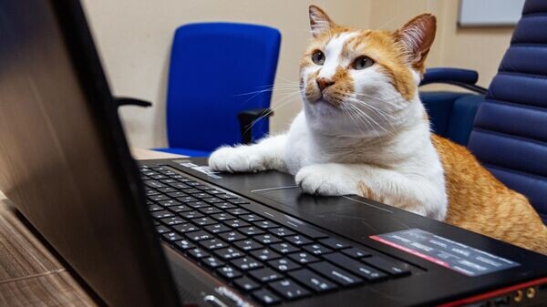    © Sputnik / Дмитрий Макеев