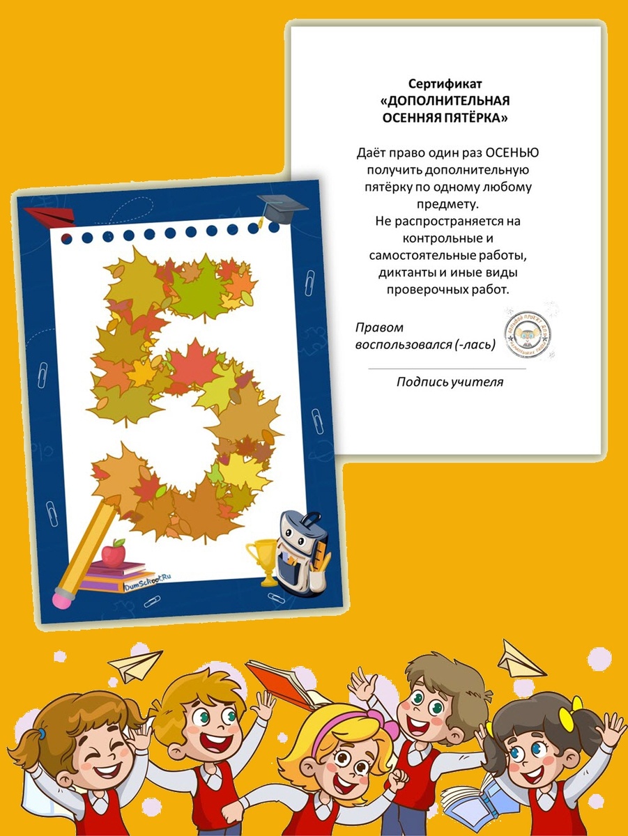 Сертификат на пятёрку для 2-4 классов.