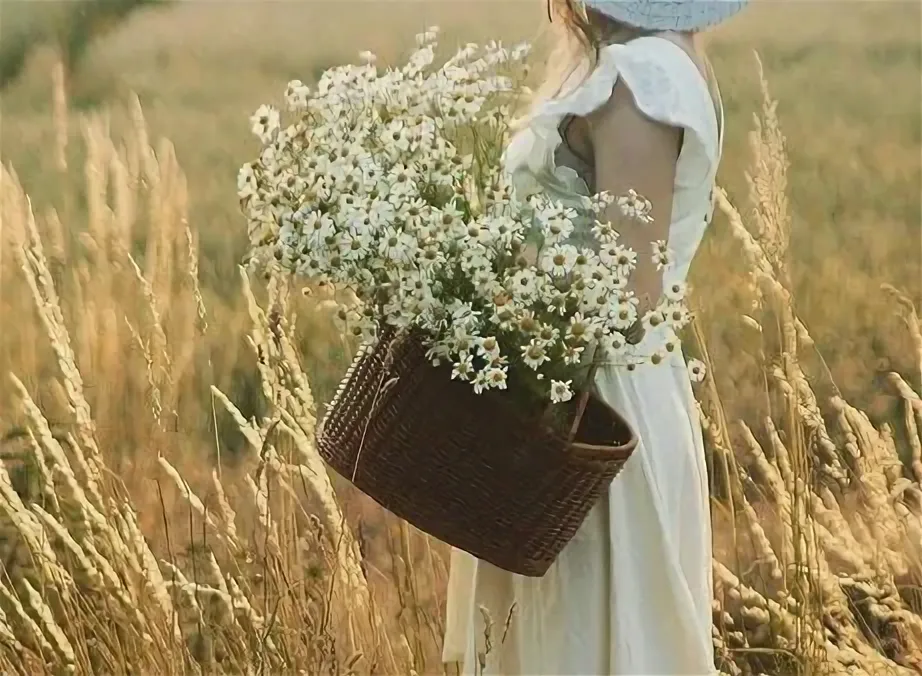 Фото взято из открытого источника