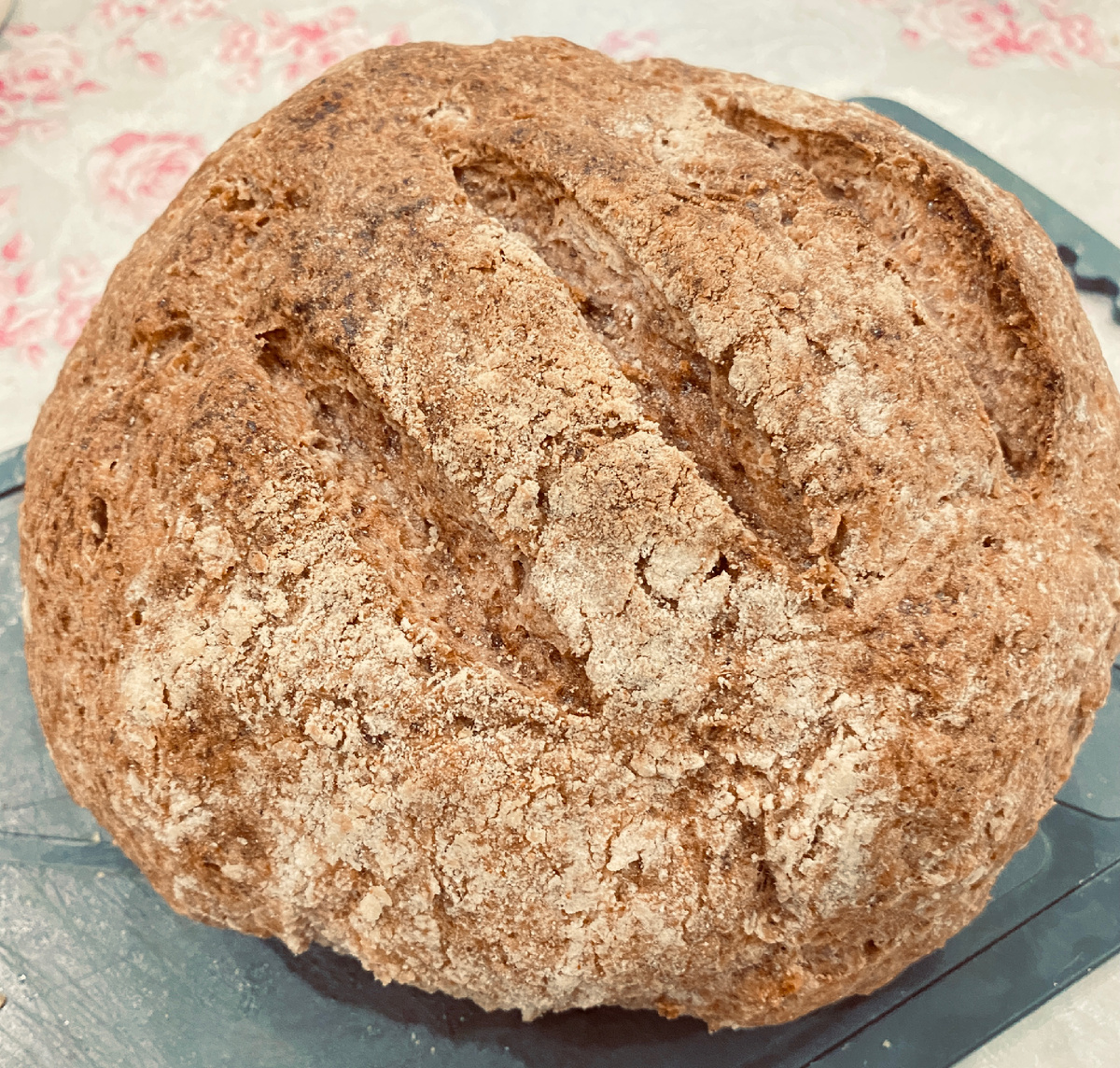 Фото автора статьи 