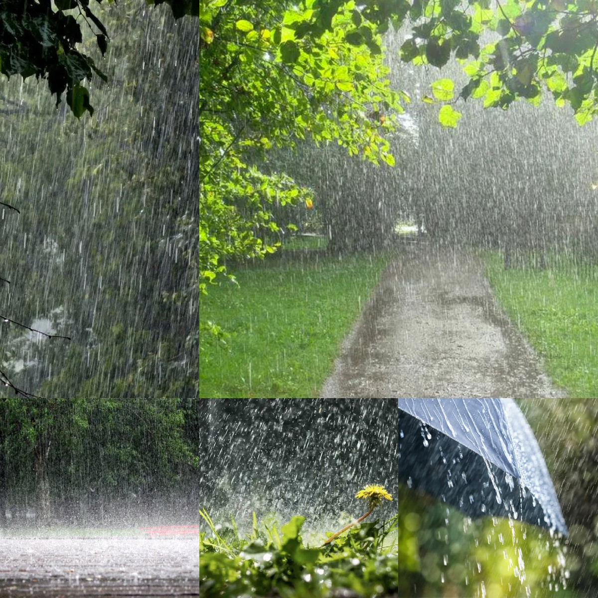 Барабанит дождь по лужам льет нещадно целый день