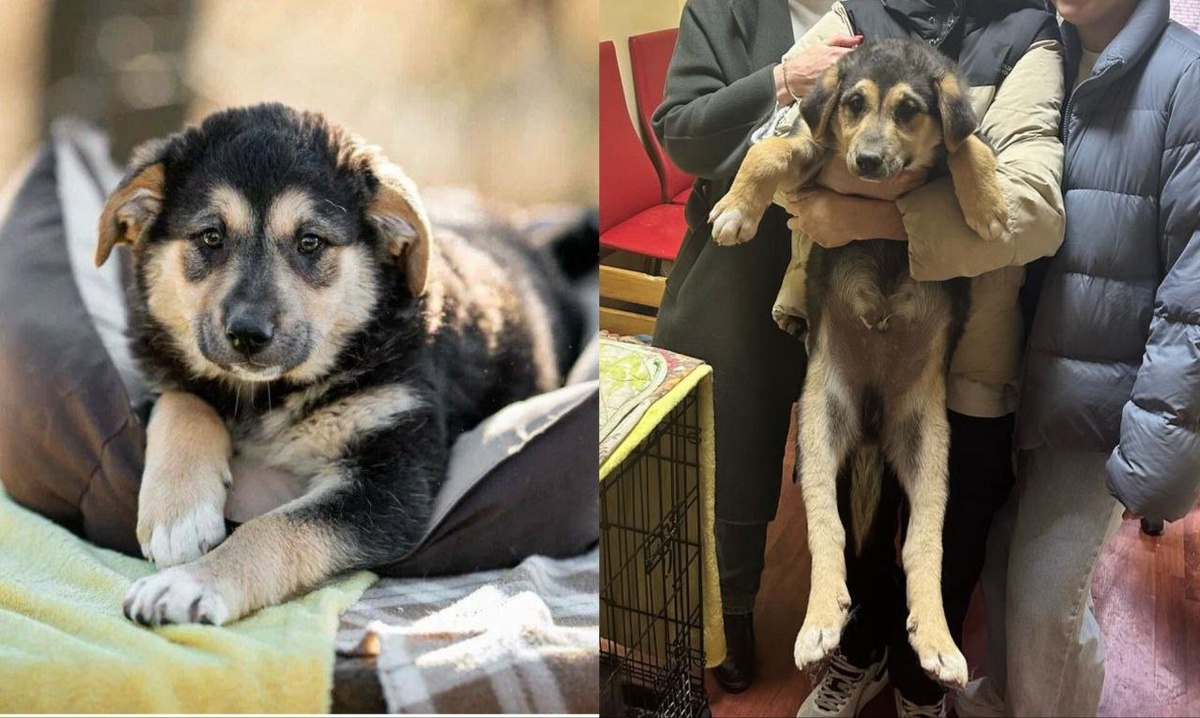 Сладкий Мармелад