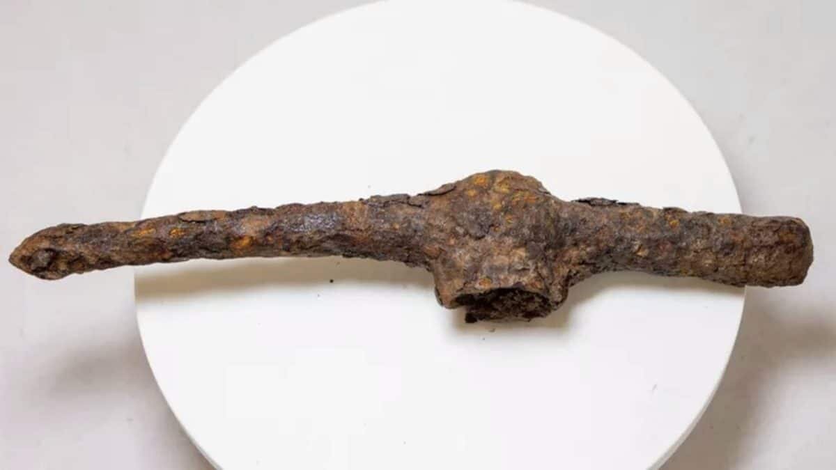    Редкий боевой топор VI века до нашей эры, найденный в захоронении на берегу реки Кемь / © пресс-служба Сибирского федерального университета, Евгений Пузин