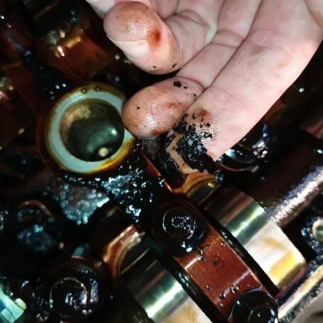 Фото заимствовано - https://vk.com/club226862048