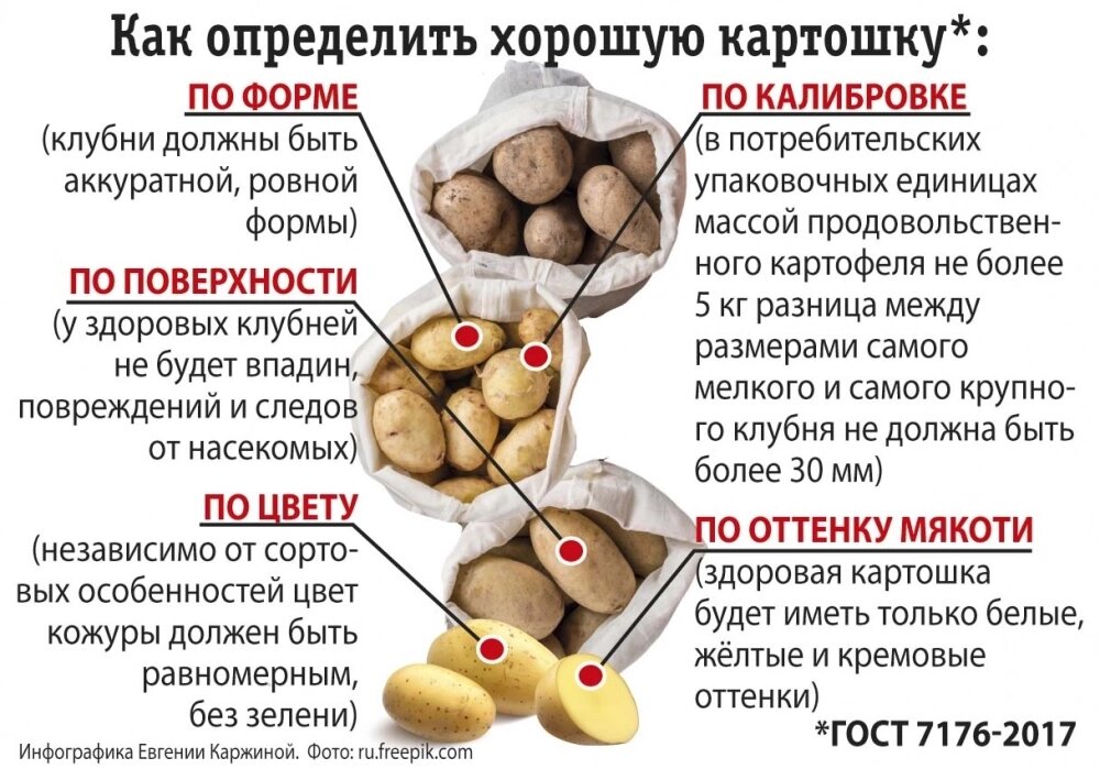    Фото: АиФ/ Евгения Каржина