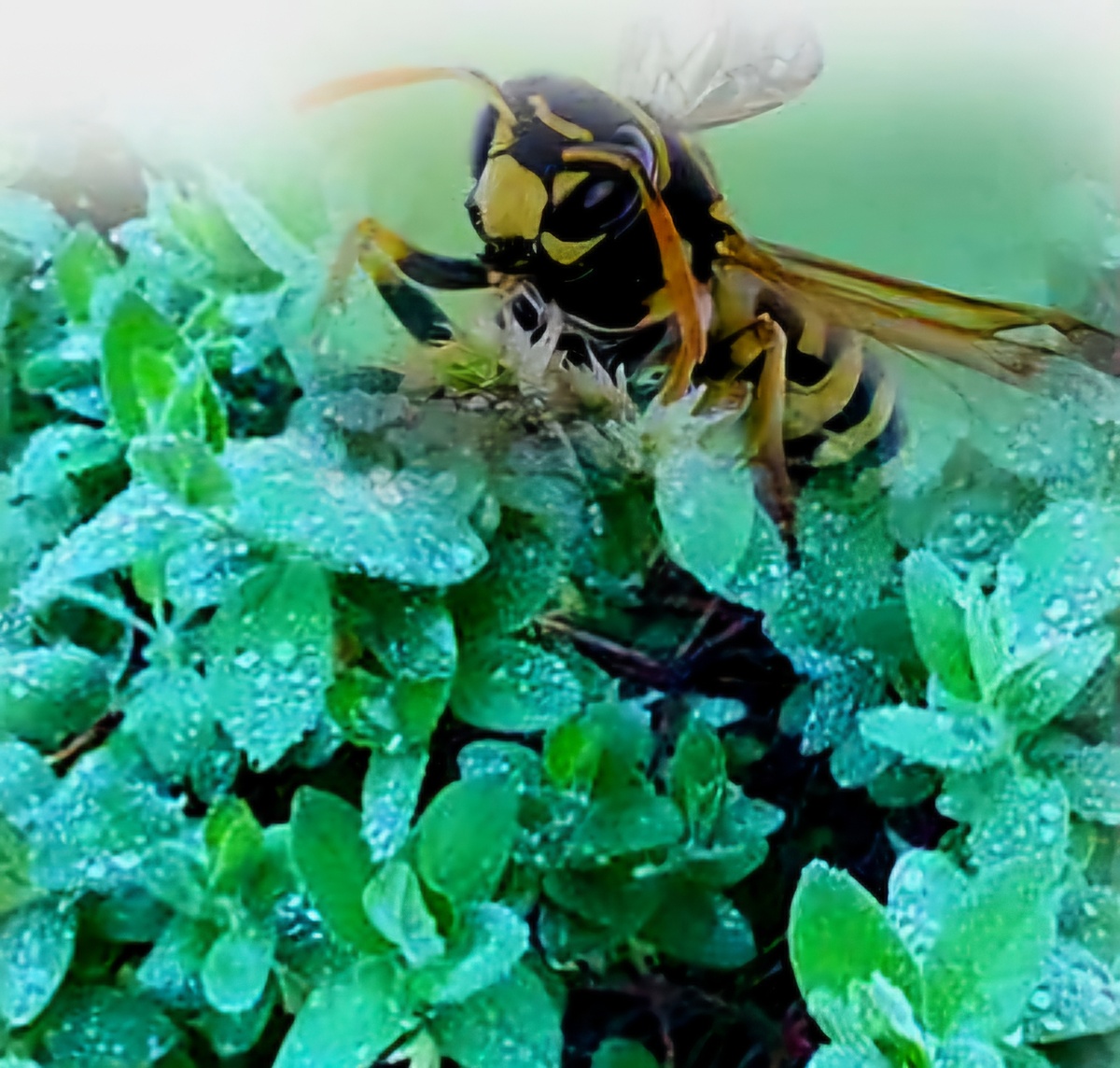 Фото автора Татьяны Федотовой