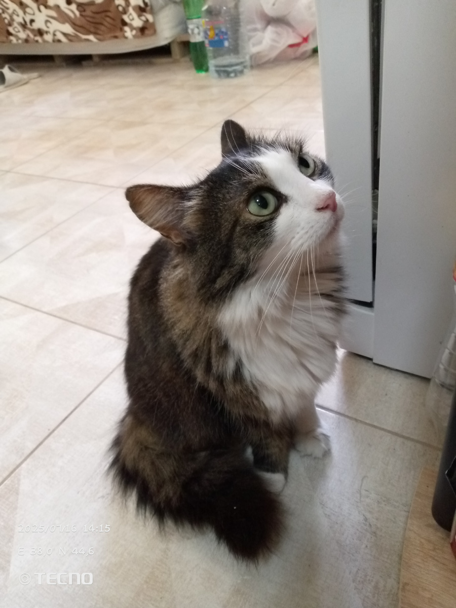 Красивая правда? ❤️