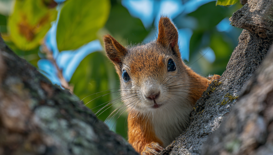    Сгенерировано в Midjourney/NEWS.ru