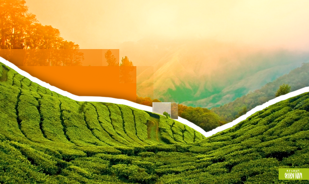    Индия / Источник: Иван Шилов © ИА REGNUM