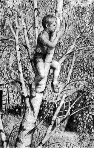 Фото взято из открытого источника.