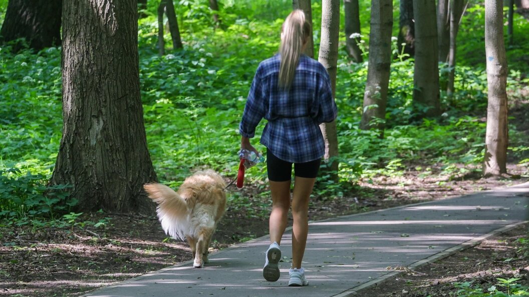    Shatokhina Natalia/news.ru/Globallookpress