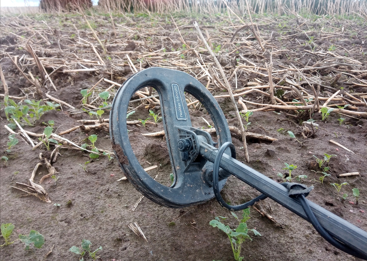 Вполне нормально бродить.