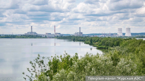     Фото: Telegram-канал "Курская АЭС"   
 Текст: Ирма Каплан