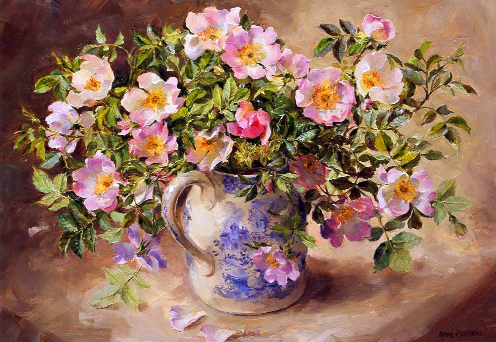 Источник изображения : vk.com›album-29379703_283104569