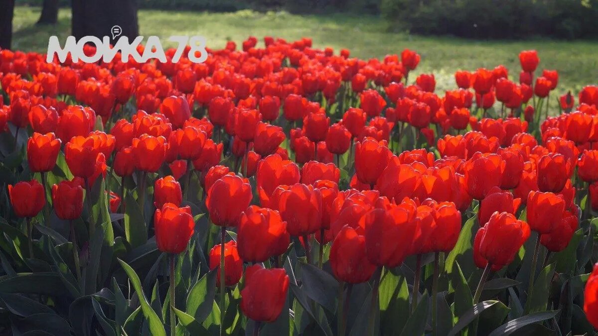    Фото: Мойка78.