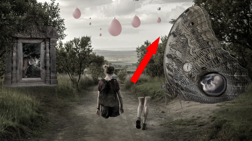    Вы не поверите своим глазам если посмотрите эти фото дважды